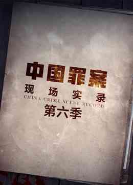 《罪案现场实录 第六季》免费在线播放｜纪录片·中国大陆